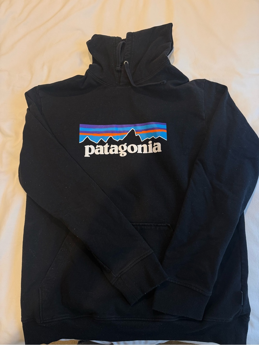 Patagonia Black Pullover Hoodie with Striped Mountain Logo